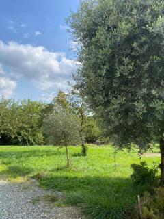 La Cà di Carol - 4