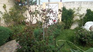 bel appartement centre harhoura - 2