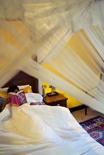 Black Cat Boutique Stay - 3