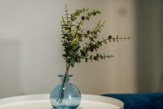 Spacious 3 Bedroom modern flat with parking - 5