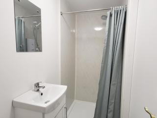 Loft Style-1Br-WalkinShower-WiFi-Central Cork - 8