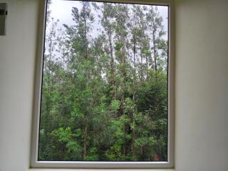 Netravati Stay In Kalasa - 8