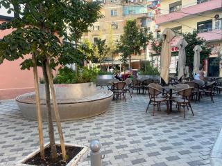 Tirana's nest - 6