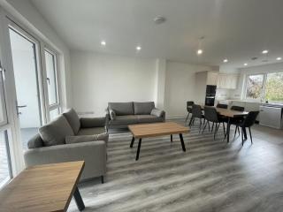 3 Bed Spacious House in Ennis Road - 0