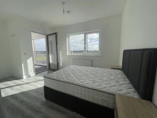 3 Bed Spacious House in Ennis Road - 9