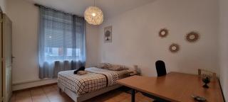 T4 rénové 95 m2 cosy confort ! - 9
