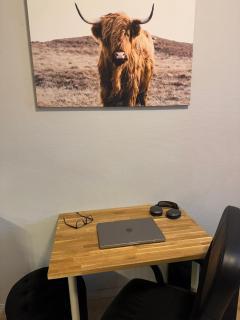 Cozy Studio in Frogner by Aker Brygge - 7