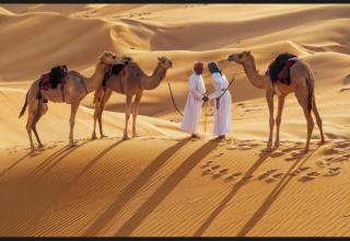 Alghyamcamp - 8