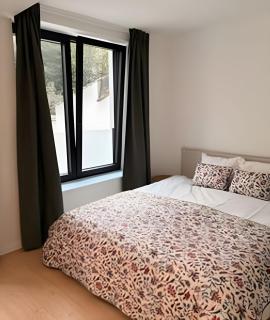 Spacious suite with private bathroom - Brussels - 9