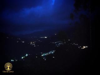 Tribano vattavada - 9