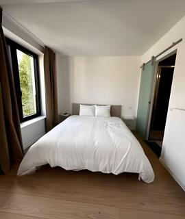 Montgomery Rooms & Suites - 8