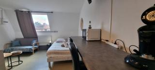 T1 rénové 26m2 cosy confort ! - 1