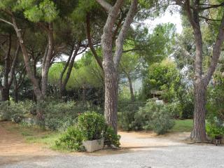 PODERE OSLAVIA AZ.AGR.BIO GIANNINI - Alberese - 5