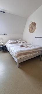 T1 rénové 26m2 cosy confort ! - 3