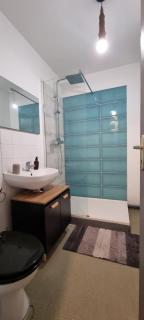 T1 rénové 26m2 cosy confort ! - 1