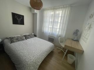 Bel appartement 6p Tours Centre - 7