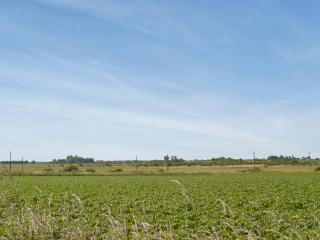 Field Crest - Sea Palling - 2