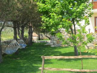 Nar Bağevi - Bozcaada - 2