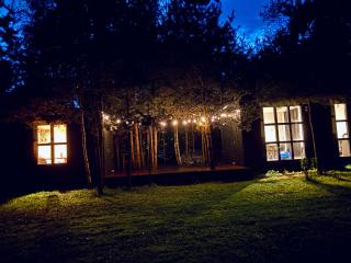 Oriküla Forest Gottage with Sauna - 9