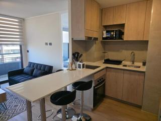 Cozy Stadium Retreat 1BR Nunoa Getaway for 3 - 9