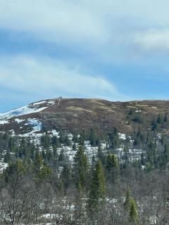 Timber Cabin With Views Over Golsfjellet - 1