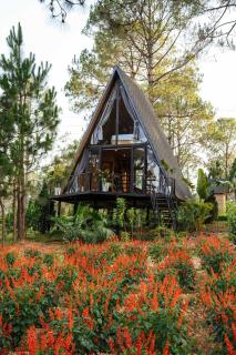 Phoenix Mộc Châu Resort - 2