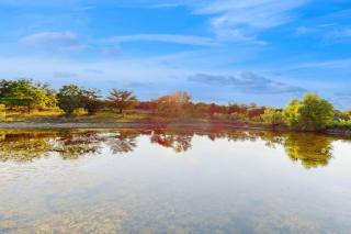 Headquarters Hideaway - 2