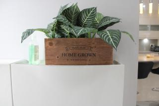 Falcon House, Large Group Stay - 1