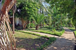 Sheba Cottages - Diani Beach - 1
