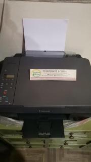 peaceful green Room at Thamel - 6