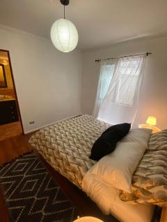 Oasis in the heart of Providencia - 5