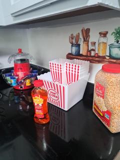 Fun Home in Pocono with Gameroom-Firpit-BBQ Grill-TV and AC in all rooms - 0