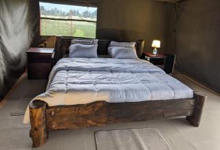 Volcanoes Over View Safaris & Camp - Nyarugina - 3