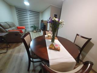 Dpto full equipado,dormitorio en suite en Valdivia - 8