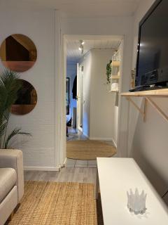 Studioleilighet midt i Trondheim - 1