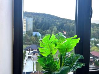 Colina Blossom Retreat - Balcony & Forest View - 6