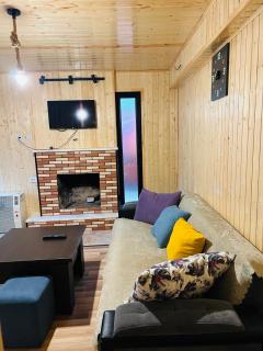 Cottage inn Cemi - 7