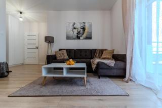 Apartament Pirat - 8
