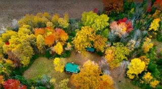 Cozy Private Log Cabin on acreage - 0