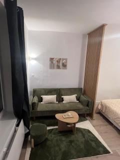 Séjour authentique dans un appart cosy à Dijon - 0