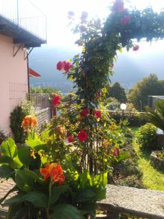 Le Rose Sul Lago - 8