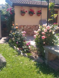 Le Rose Sul Lago - 1