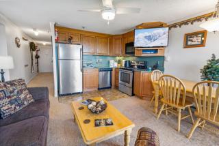 ML178 2BR 2BA Mountain View WiFi Ski In Ski Out - 7