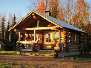 Riverside Sauna Cottage - 6