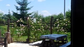 Rooms Ma La - Karlovac - 0