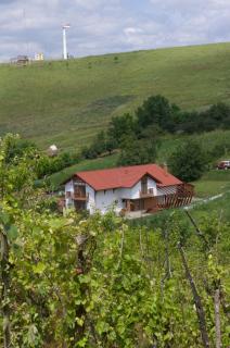 Pensiunea Casa din Vii - Şeuşa - 7