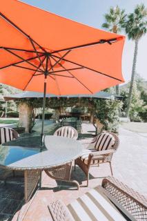 Vineyard lodge in Valle de Guadalupe with pool - 4