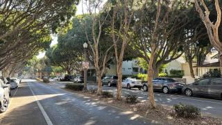 Coastal Haven Santa Monica - 5