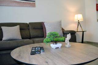 Cozy spacious Modern 1 bedroom Apartment - 4