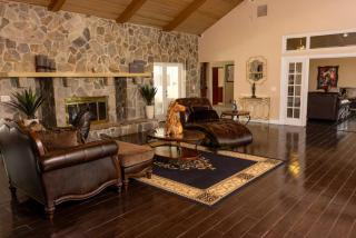 Spacious Luxury Estate Pool Jacuzzi Horses - 3